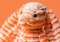 Fizzleskip Bunny medium