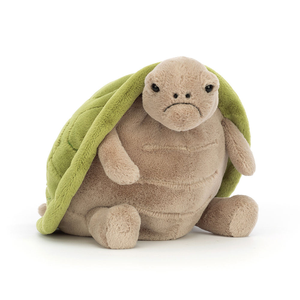 Timmy Turtle Original