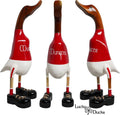 Munster Rugby Duck