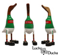 Mayo County Duck