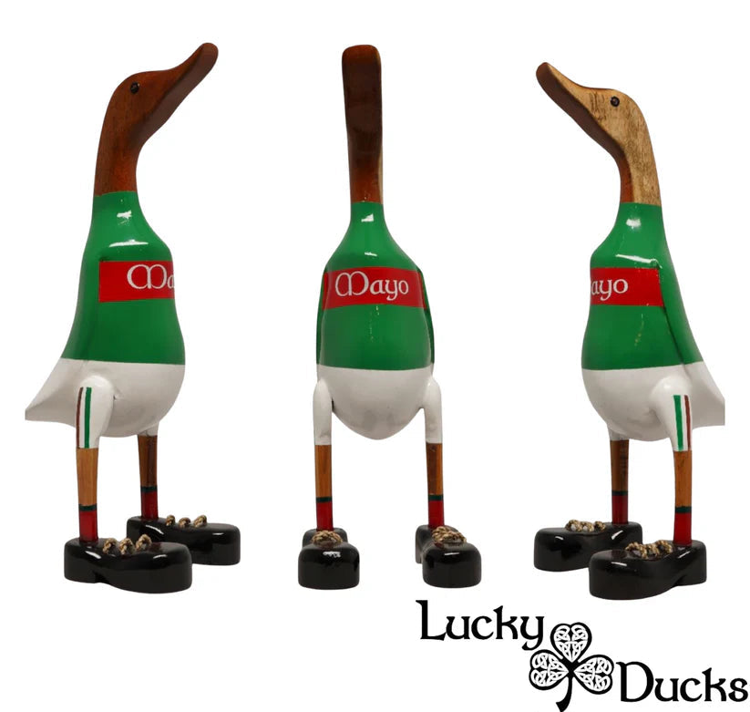Mayo County Duck