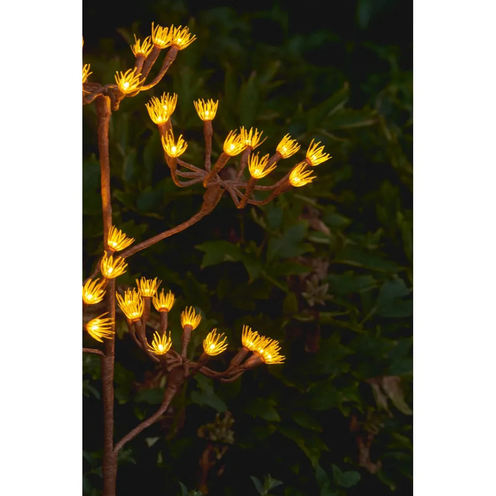 LST-108a Solar Wild Fennel Branch