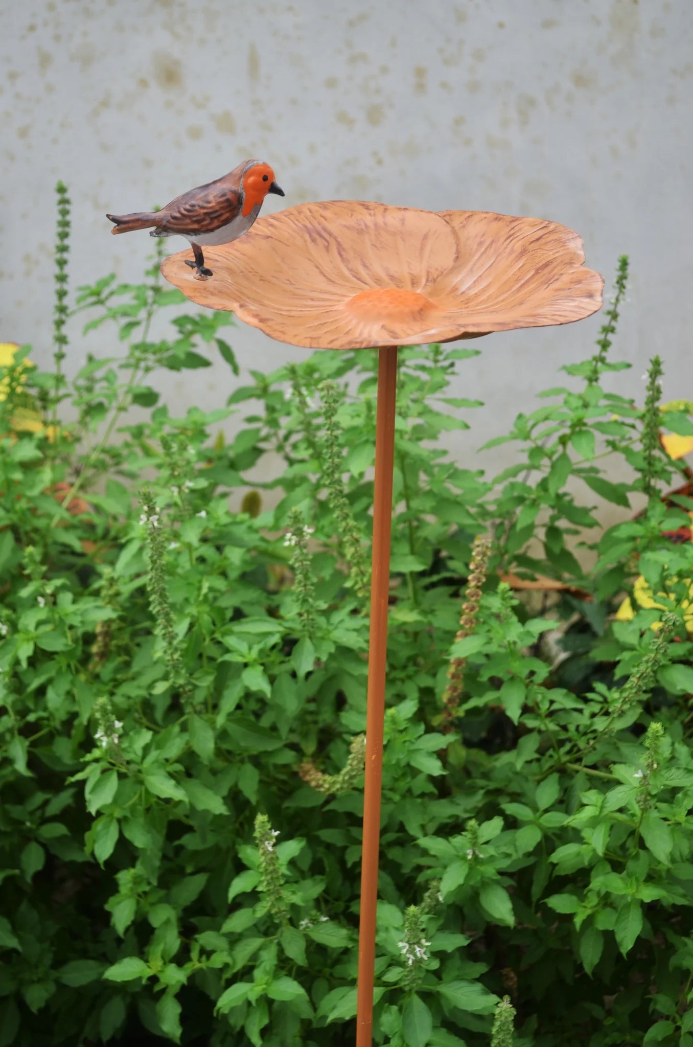 Robin Bird Bath