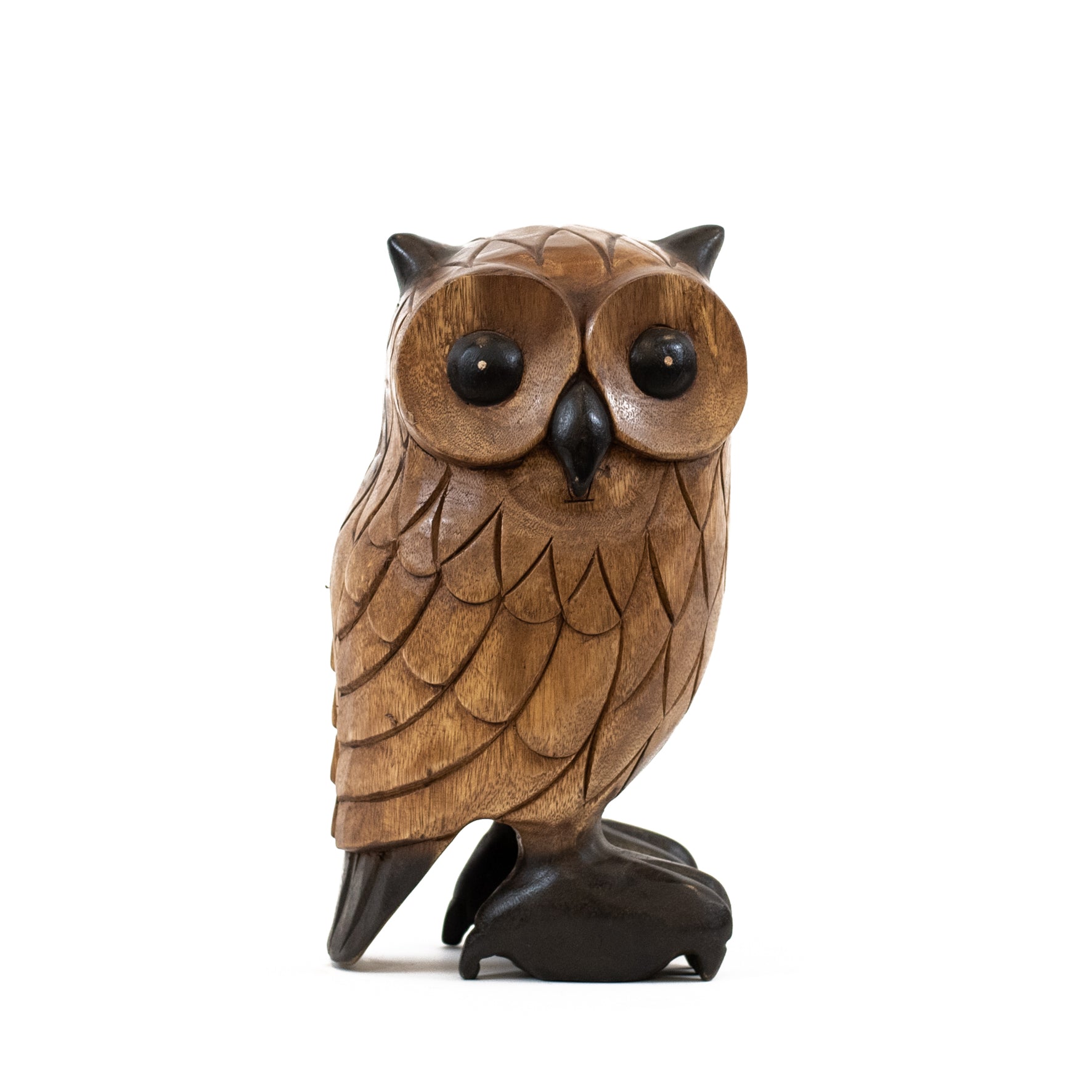 NT-301-Small-Owl.jpg
