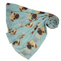 Scarf, Pugs, Duck Egg