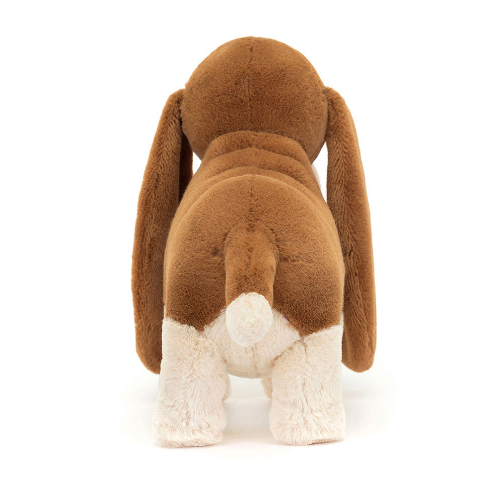 Randall Basset Hound Back