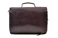 Large Satchel with handle, Brown