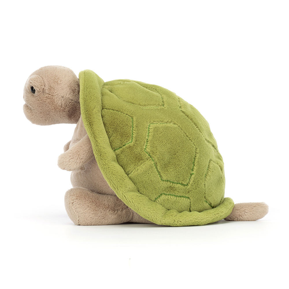 Timmy Turtle Original