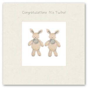 Card, Congratulations its Twins