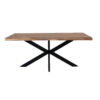 Dining Table, 180 x 95cm Live Edge, Spider leg - Image 2